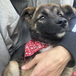 怖がりびびりな【春】君