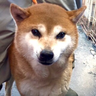 26-M79　柴の龍之介君！！