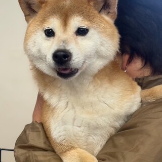 26-W88　とっても良い子過ぎる子です♪