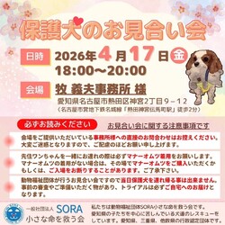 牧義夫事務所様　お見合い会