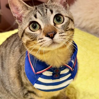 【4/12東銀座】諭吉くん★９ヵ月♪