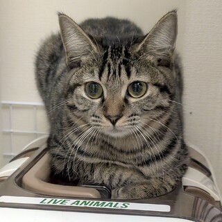 駒込｜ラブリー♡ルンちゃん