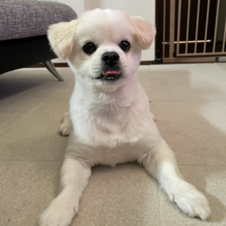 元気いっぱいの男の子