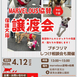 マーベラス協賛譲渡会