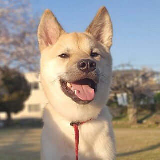 7ヶ月くらい優しい顔の穂高くん