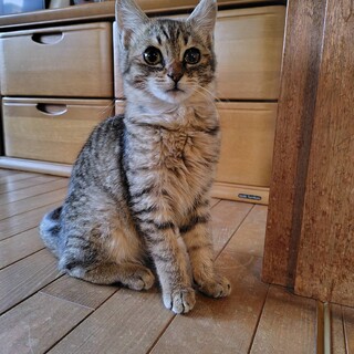 涙目でケアが必要！元気いっぱい男の子⭐︎