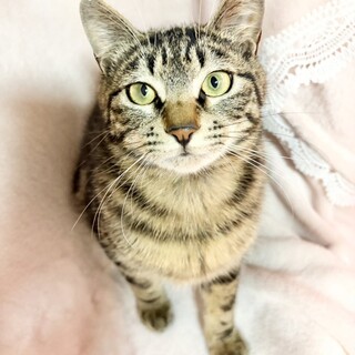 【4/12東銀座】リクくん★４ヵ月♪