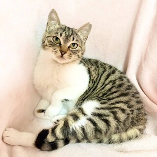 【4/12東銀座】ウンちゃん★４ヵ月♪