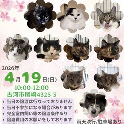 保護犬猫☻譲渡会 ＠古河市