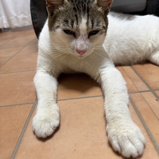 甘えんぼうのおとこのこ