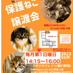 HappyCats〜ねこに恩返しの会〜保護ねこ譲渡会