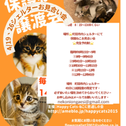 HappyCats〜猫に恩返しの会〜保護ねこたちのシェルターお見合い会