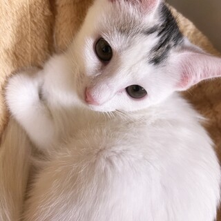 女の子 1歳 人懐っこい性格