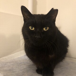 ミリーちゃん☆女の子