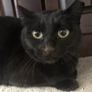 マリーちゃん☆女の子