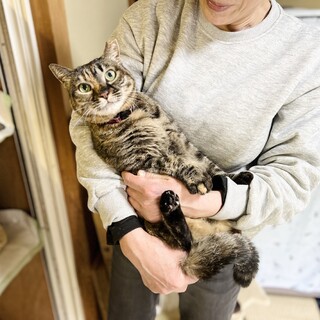 とっても穏やかなサリーさん