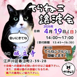 【第23回】てらねこ譲渡会