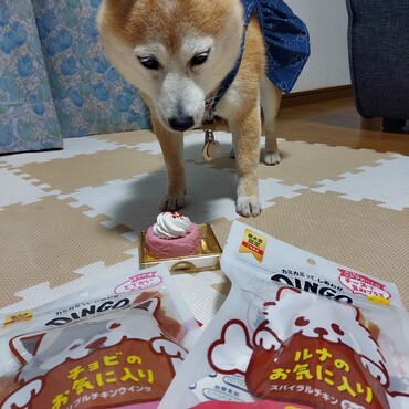 倖♥️９歳(*´∇｀*)我が家での初めての誕生日♪