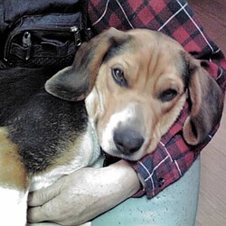 モナサンが死にました