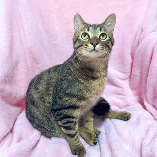 【4/12東銀座】クッキーくん★11ヵ月♪