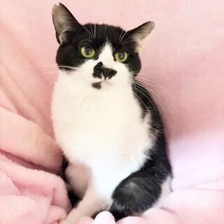 【4/12東銀座】有馬くん★７ヵ月♪