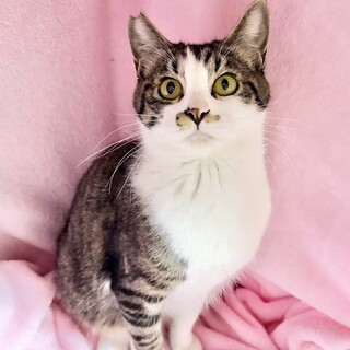 【4/12東銀座】ミルクくん★１歳♪