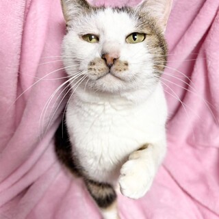 【4/12東銀座】さちこちゃん★10歳♪