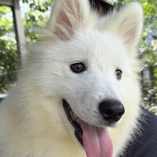 応募多数のため現在募集締め切っております