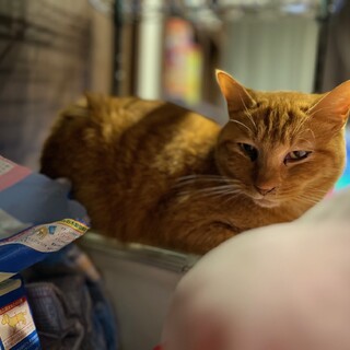 『カラン』色々と興味津々