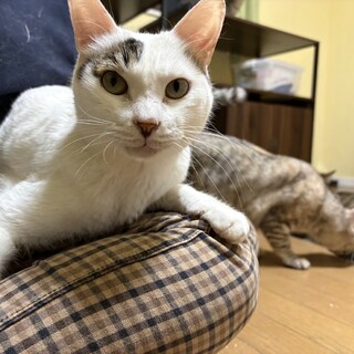 『こは』小柄な男の子