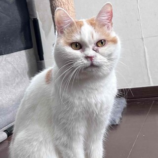 『かる』ぽっちゃり体型が可愛い