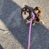 一旦募集停止します サムネイル7