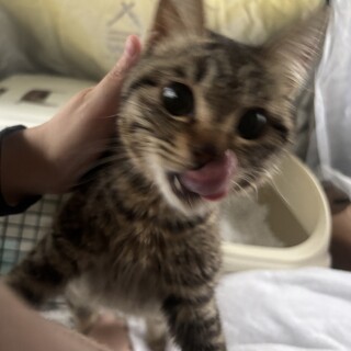 人懐っこくて可愛い女の子 甘えん坊さん