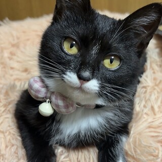 黒白 ︎︎ ♀ まるちゃん