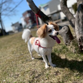 2才！人が大好きな子です！
