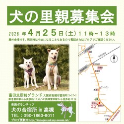 「犬の合宿所in高槻」の里親募集会