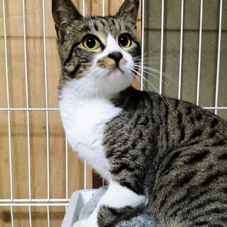 抱っこ大好き♡もんちゃん