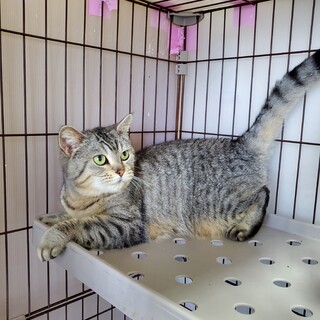 ビビりっ子な甘えん坊です。