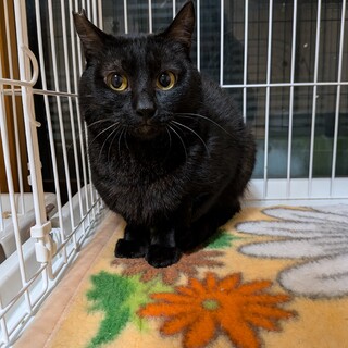 劣悪な環境からレスキューしました