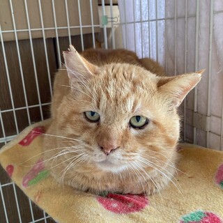 存在感たっぷりのカリムくん