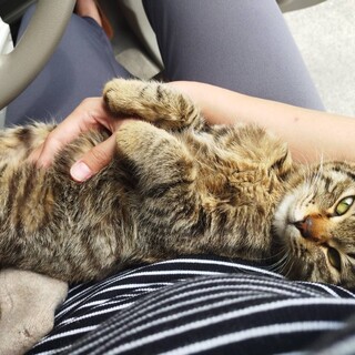 人懐っこくて可愛い女の子 甘えん坊さん