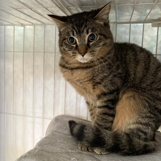 ちょっとビビり♡キュートBoy「ダッフィー」