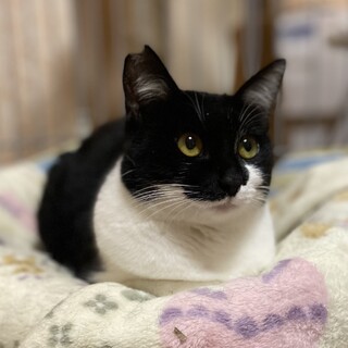 かわいい女の子