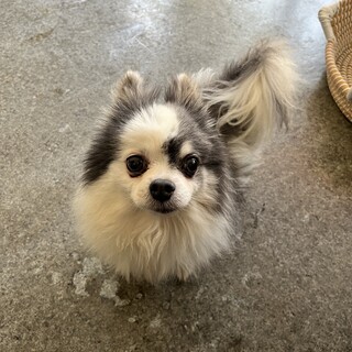 最期まで幸せに