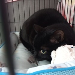 「はる」くんになりました。