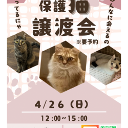 飯能市/保護猫譲渡会