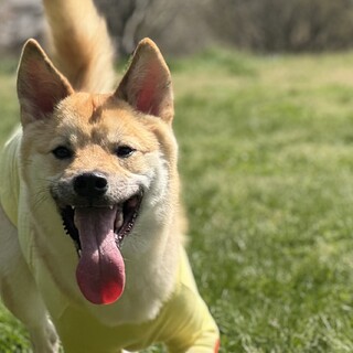 8ヶ月くらい優しい顔の穂高くん