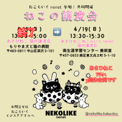 ☆ねこの譲渡会☆