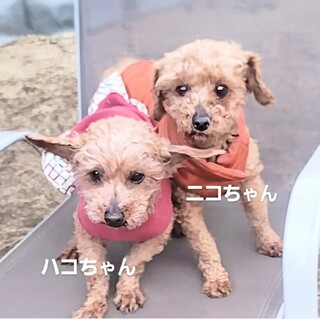 人が大好き甘えっ子親子♡