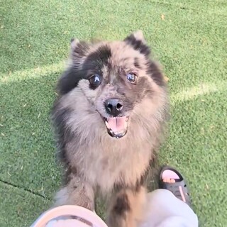 クルクル回るの大好き陽キャ女子♡